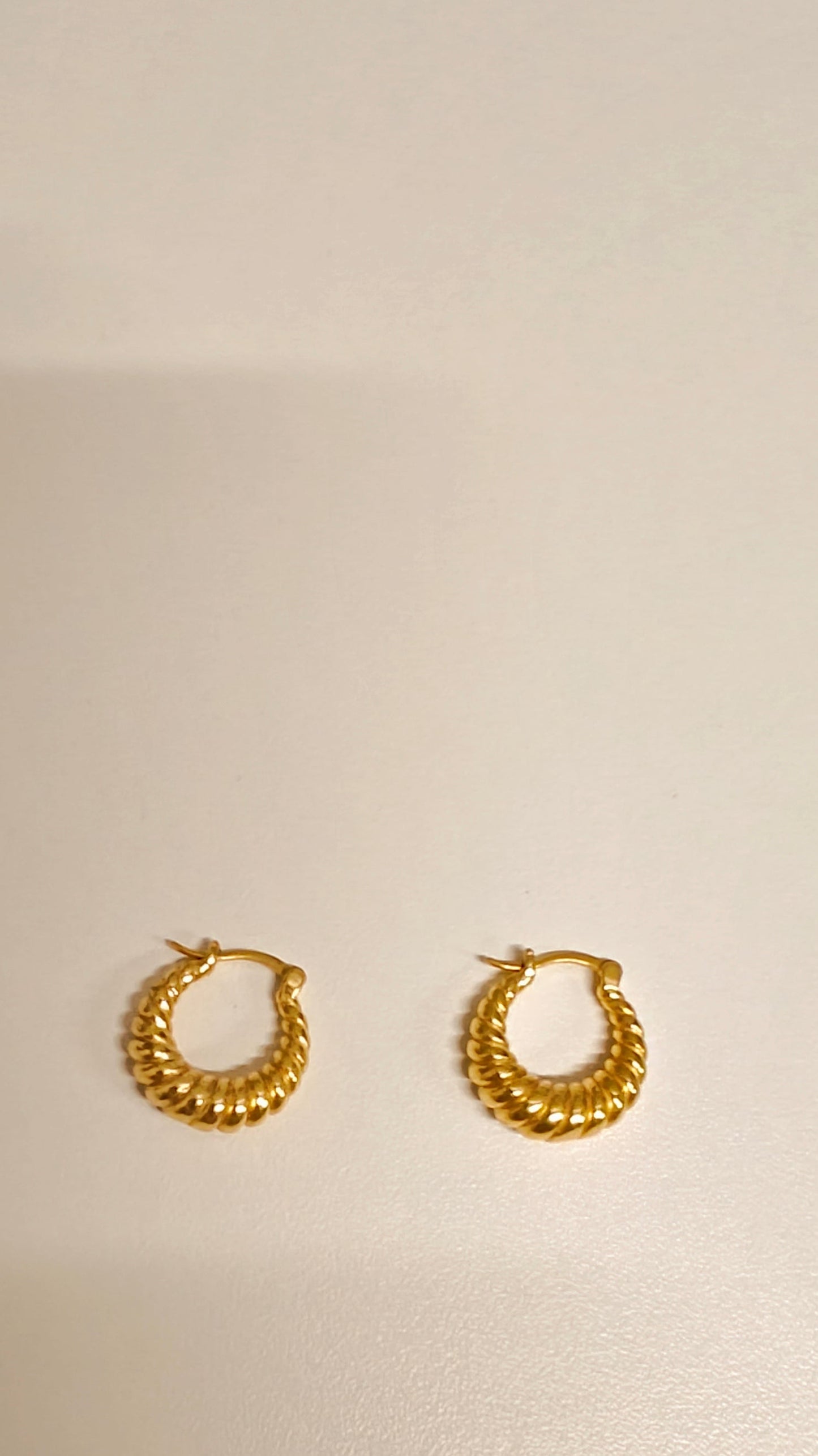 Twisted Earring With 18k Gold Plated Brass