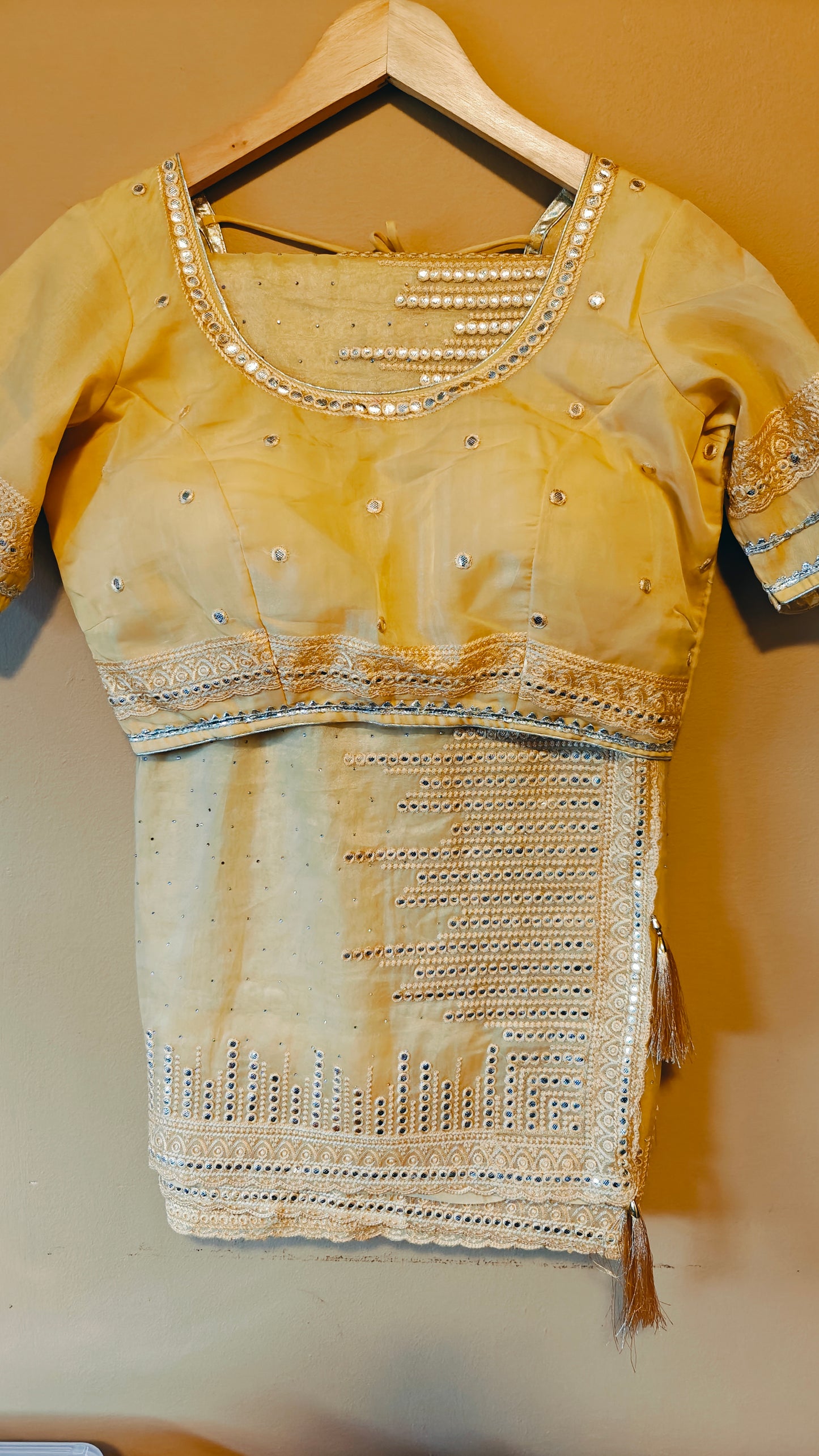 Party Wear Saree with Stitched Blouse