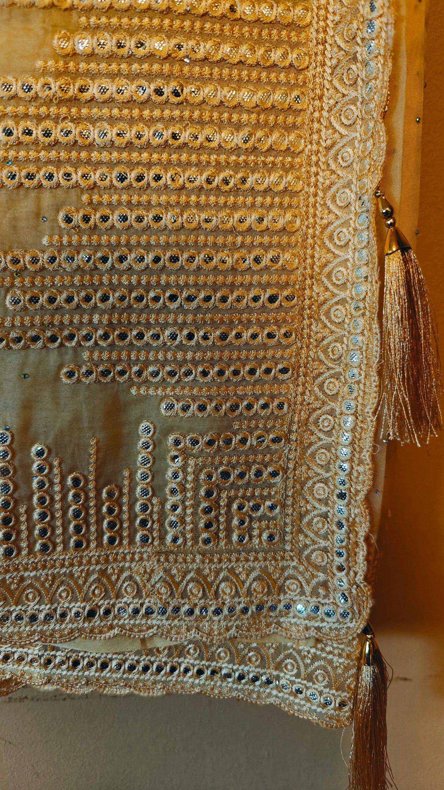 Party Wear Saree with Stitched Blouse